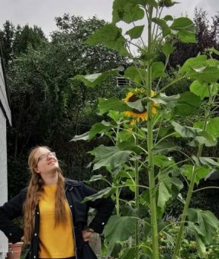 Marie-Louise Wohrle is standing outdoors looking up at some very tall sunflowers. She is white, has long blonde hair, and is wearing glasses, a yellow sweater and a dark blue jacket.