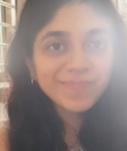 Picture in the sunlight